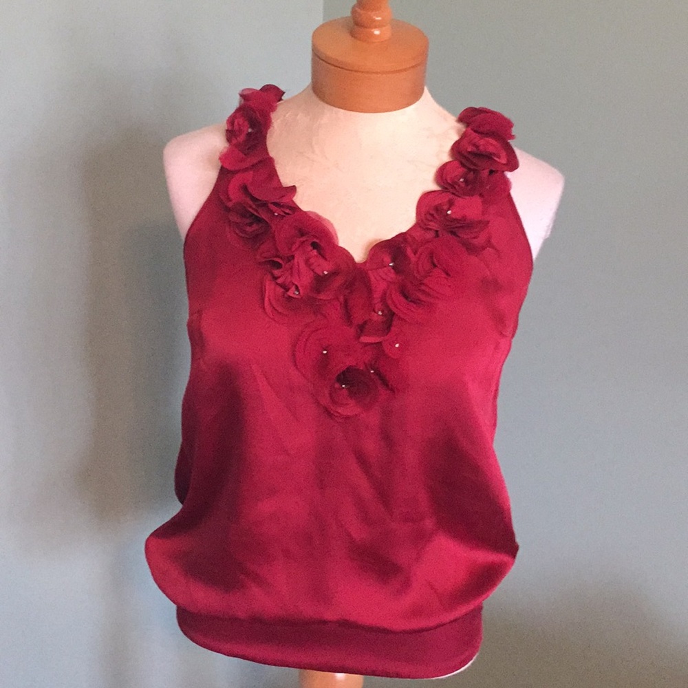 Gorgeous top from WHBM.  Size XS.